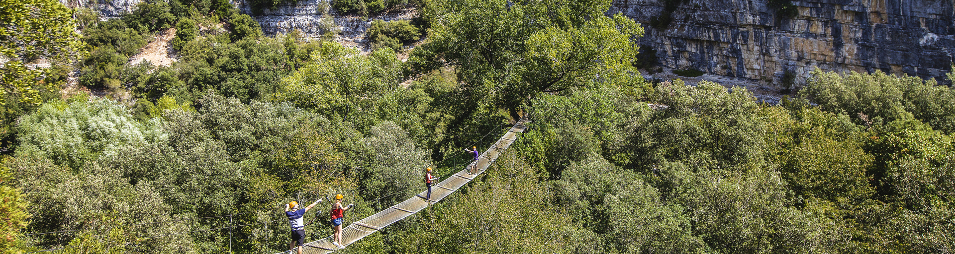 Au dessus des arbres un immense pont de cordes et filet