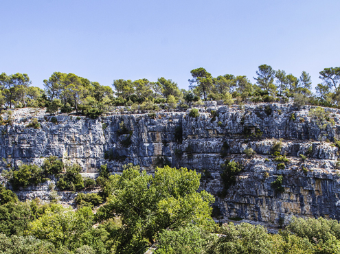 Falaise du site Canyon Forest