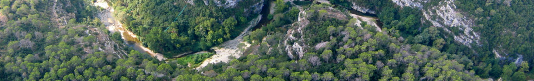 Canyon Forest vu du ciel