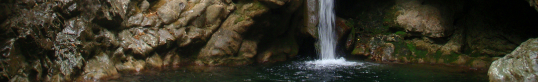 cascade et vasque d'eau